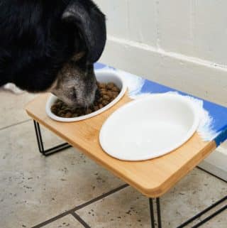 A dog eating out of a bowl in a wooden custom dog bowl stand.