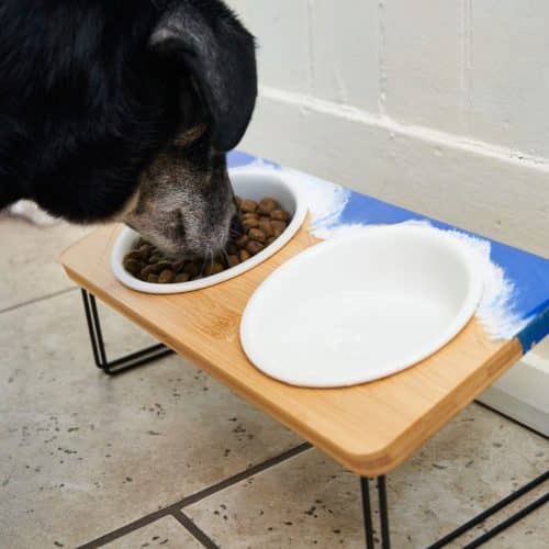 How to Make DIY Dog Bowl Stands with Resin Resin Crafts Blog