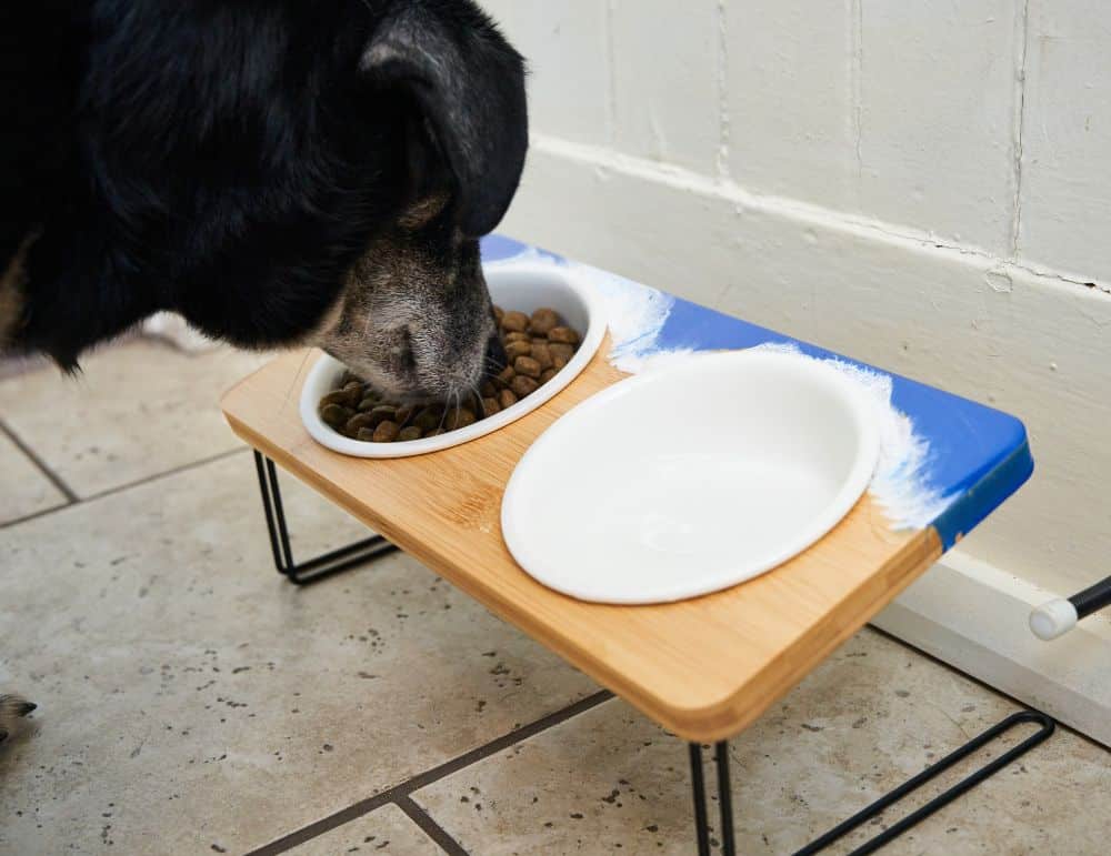 A dog eating out of a bowl in a wooden custom dog bowl stand.