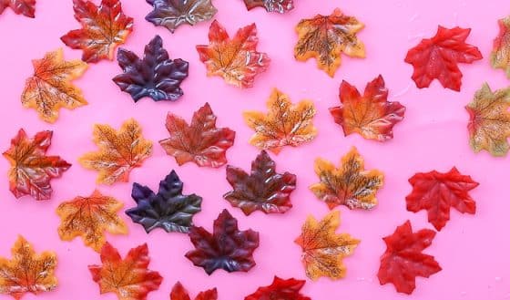 Resin Leaves Wall Hanging