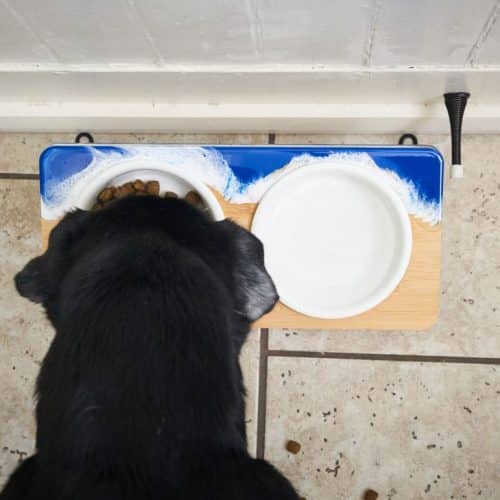 diydogbowlstand Resin Crafts Blog