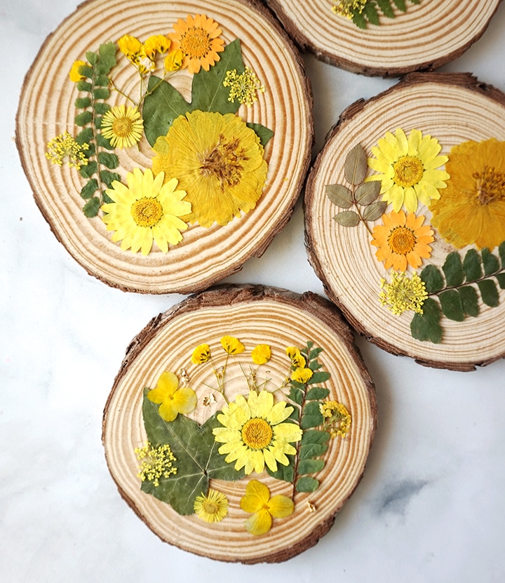 Dried Flowers on Wood Slice Coasters