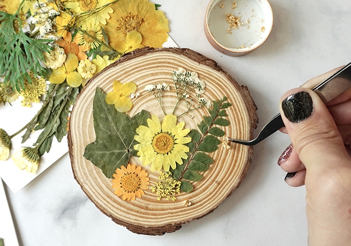 Placing Dried Flowers on Wood