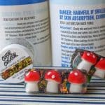 resin mushroom hair clips